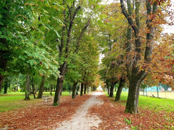 Karlovac park