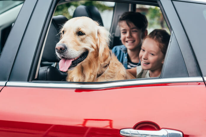 kutya az autoban gyerekekkel