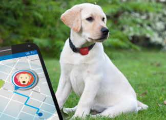 GPS nyomkövető nyakörv kutya