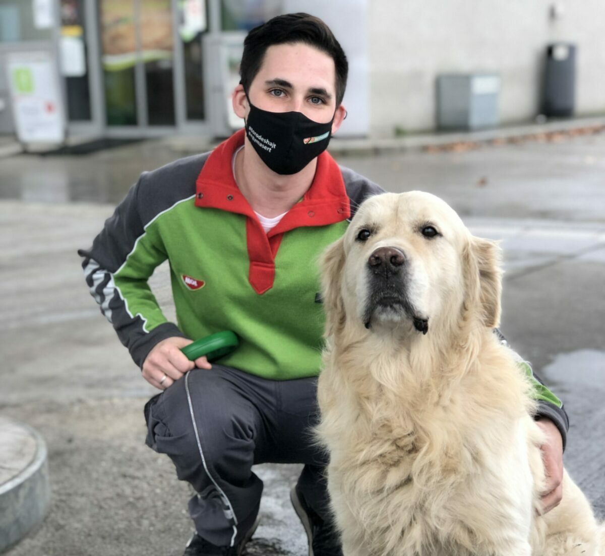 kutya mikrochip leolvasó mol