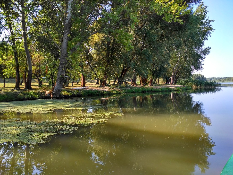 Tisza-tó