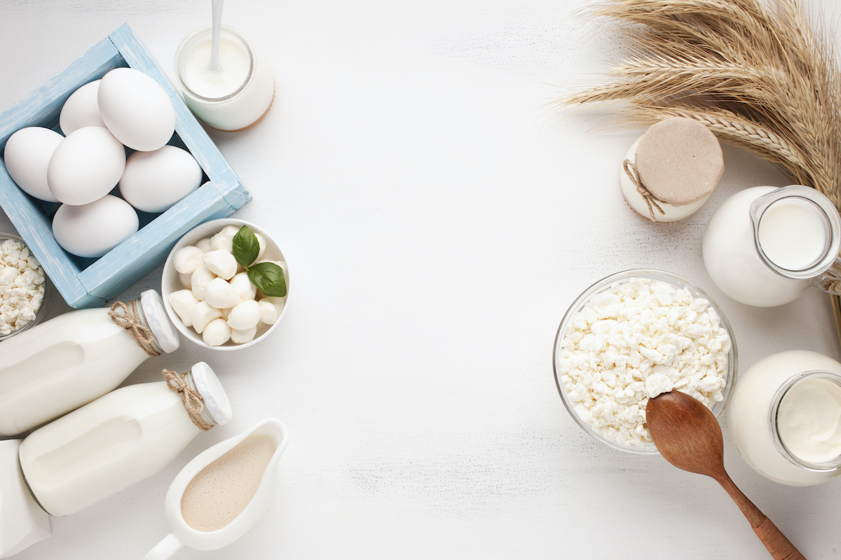 tojásmentes proteinforrások