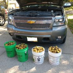 Chevrolet_mokus