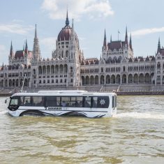 Swimbus-scaled