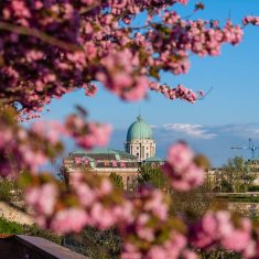 budapesti-tavaszi-fesztival-tavasz