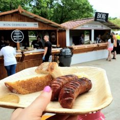 debreceni-gourmet-fesztival_ikon