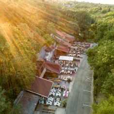 egri_bor_busz_foto-Busak-Attila