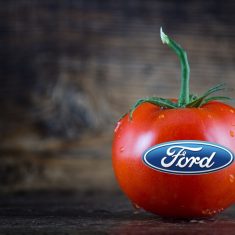 ford-paradicsom