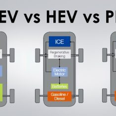 hev1