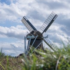 hollandia-2