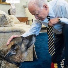 joe-biden-amerikai-elnok-champ-kutyaja