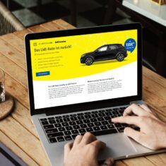 lidl-auto-lizing