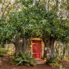 micimacko-haza-airbnb-bearbnb-1