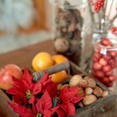 mikulasvirag-dekoracio