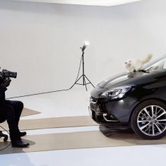 opel-corsa-calendar-has-karl-lagerfelds-famous-choupette-as-a-model-photo-gallery-87527_1