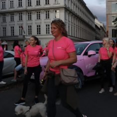 rozsaszin-volvo-lanchid