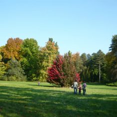 szarvasi_arboretum_wikimedia-scaled-e1615133443636