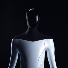 tesla-bot-robot-humanoid