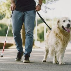 Blind man with guide dog in a summer city